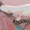 New shoes. New perspectives. Expanded horizons. Leopard Shoes