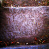 Is Your Shadow Stifling Your Success? Salem Witch Memorial - "I Am Innocent; I Am Wronged"